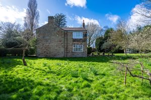 Photo 41- click for photo gallery